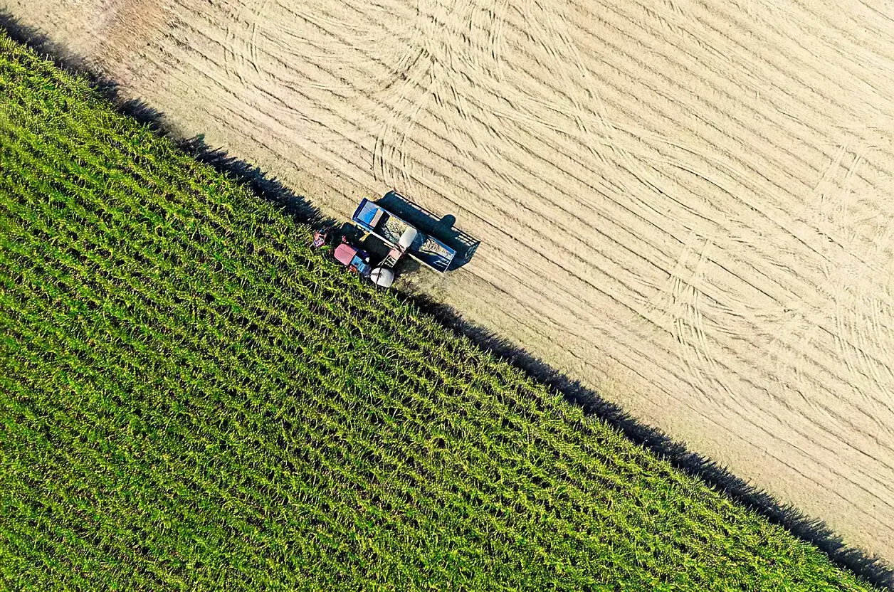 Diferenciais e Benefícios